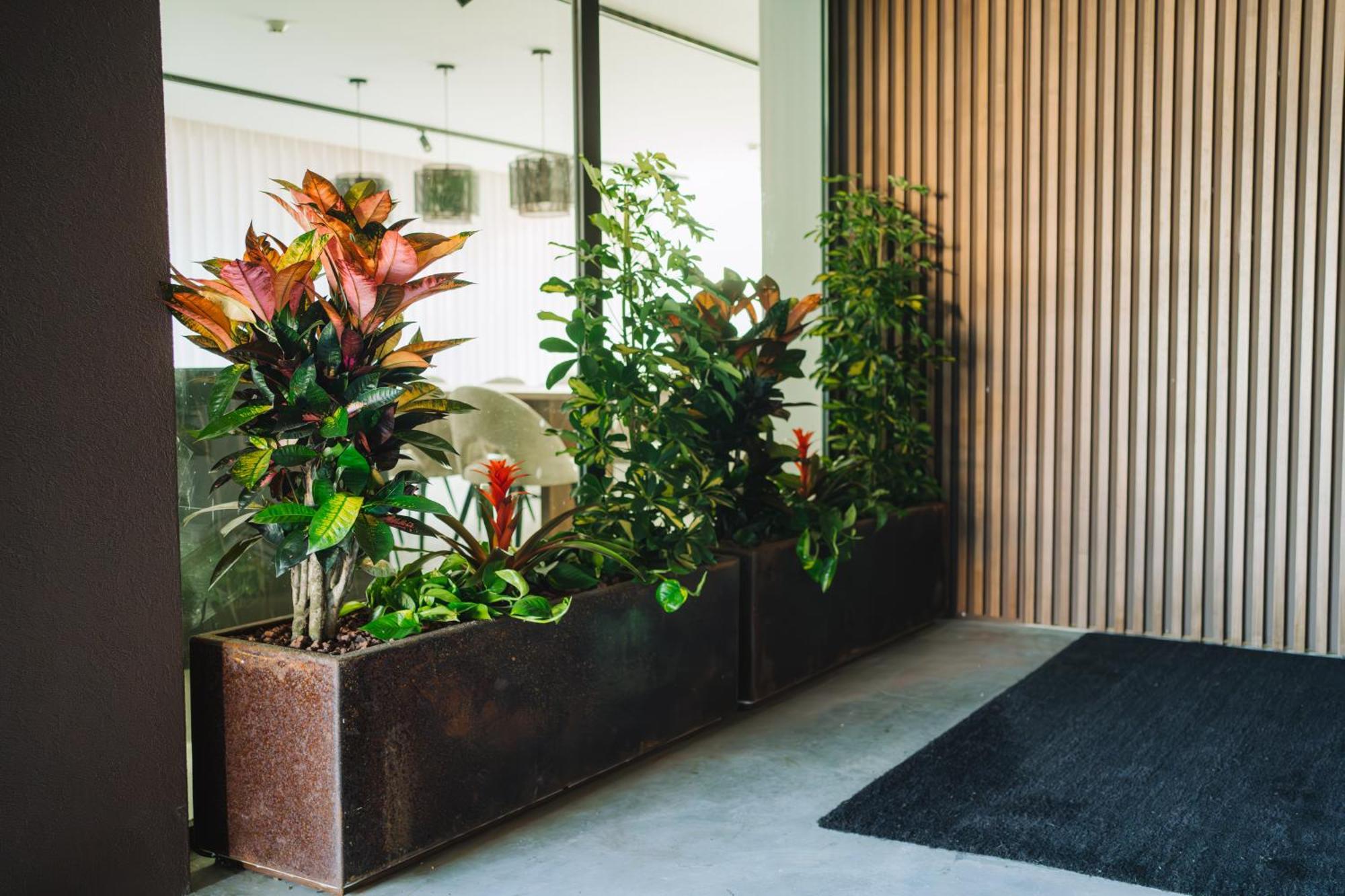 ビアナドカステロ Sun House In Cabedeloヴィラ 部屋 写真
